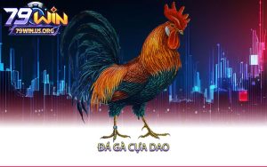 Đá-Gà-Cựa-Dao