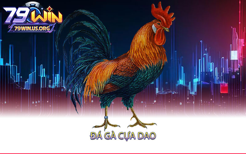 Đá-Gà-Cựa-Dao